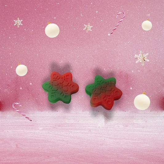 Red and Green Snowflake Magnet Set