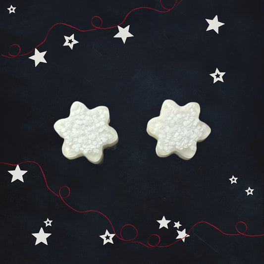 White Snowflake Magnet Set